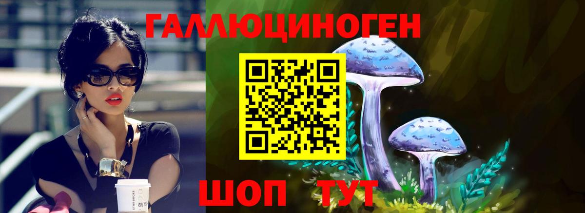 Псилоцибиновые грибы Psilocybe Благовещенск